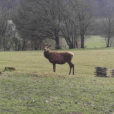 Gite Et Chambres D'Hotes Du Domaine Du Val Bruant 阿尔克昂巴鲁瓦 外观 照片